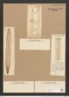 Pleurostauron fulmen (Brightw.) Grun. (de-Toni-Nr.: Genus 7, Species 970) Zeichnungen Sammlung Grunow Nr. 1841 (NHMW-BOT-W0368773)